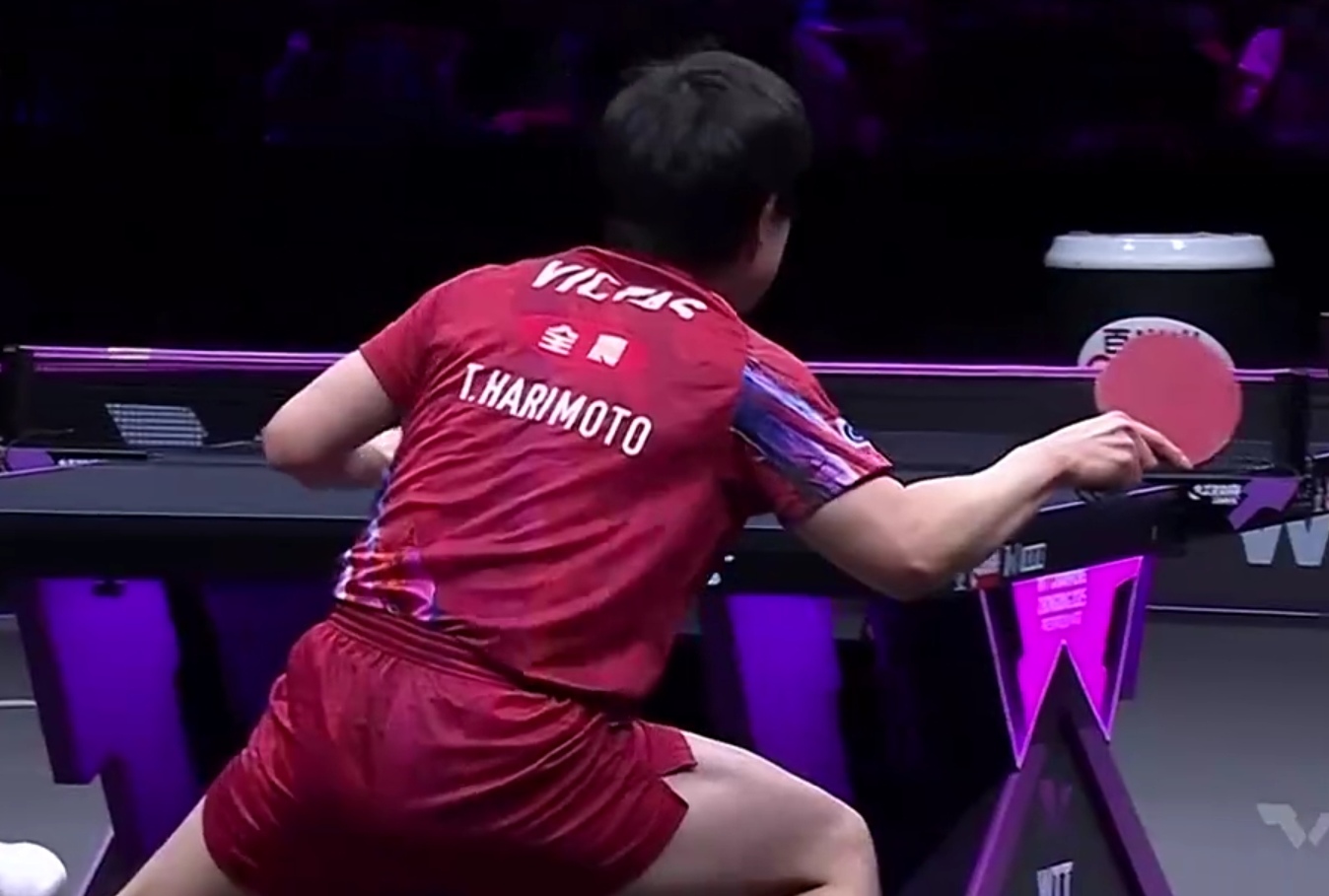 开云sport-德国队绝杀中国队，张本智和统治全场