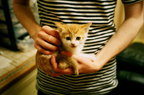 开云体育中国-贝林厄姆绝杀助巴西淘汰比利时，关键先生闪耀淘汰赛