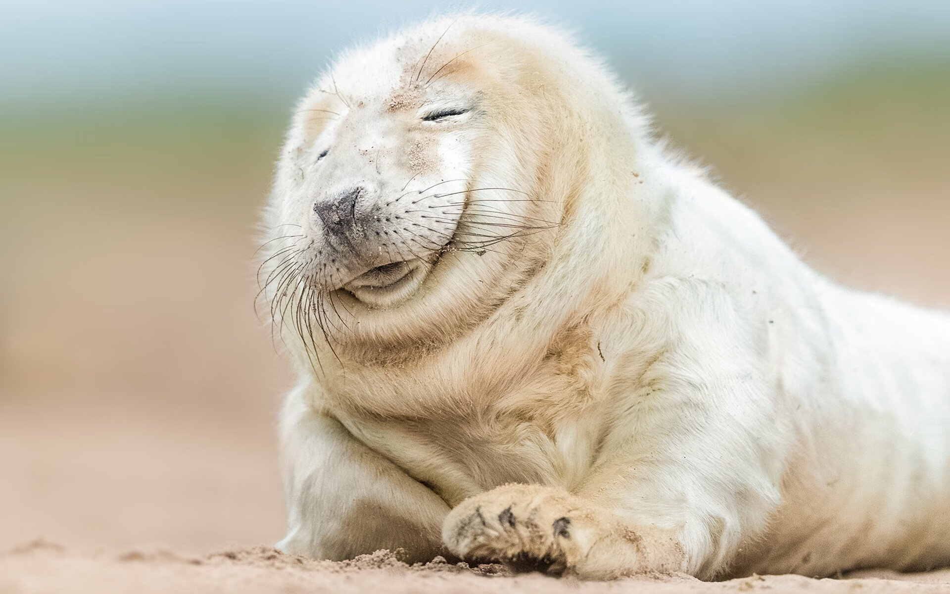 开云体育app-足球世界的奇妙交织，当内马尔的艺术爆发遇见几内亚的钢铁意志