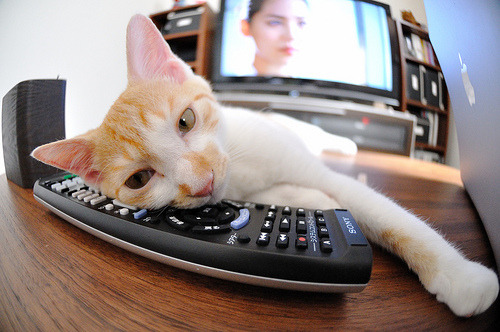 开云体育-宿命改写者，爱德华兹撕裂绿色神话的一夜