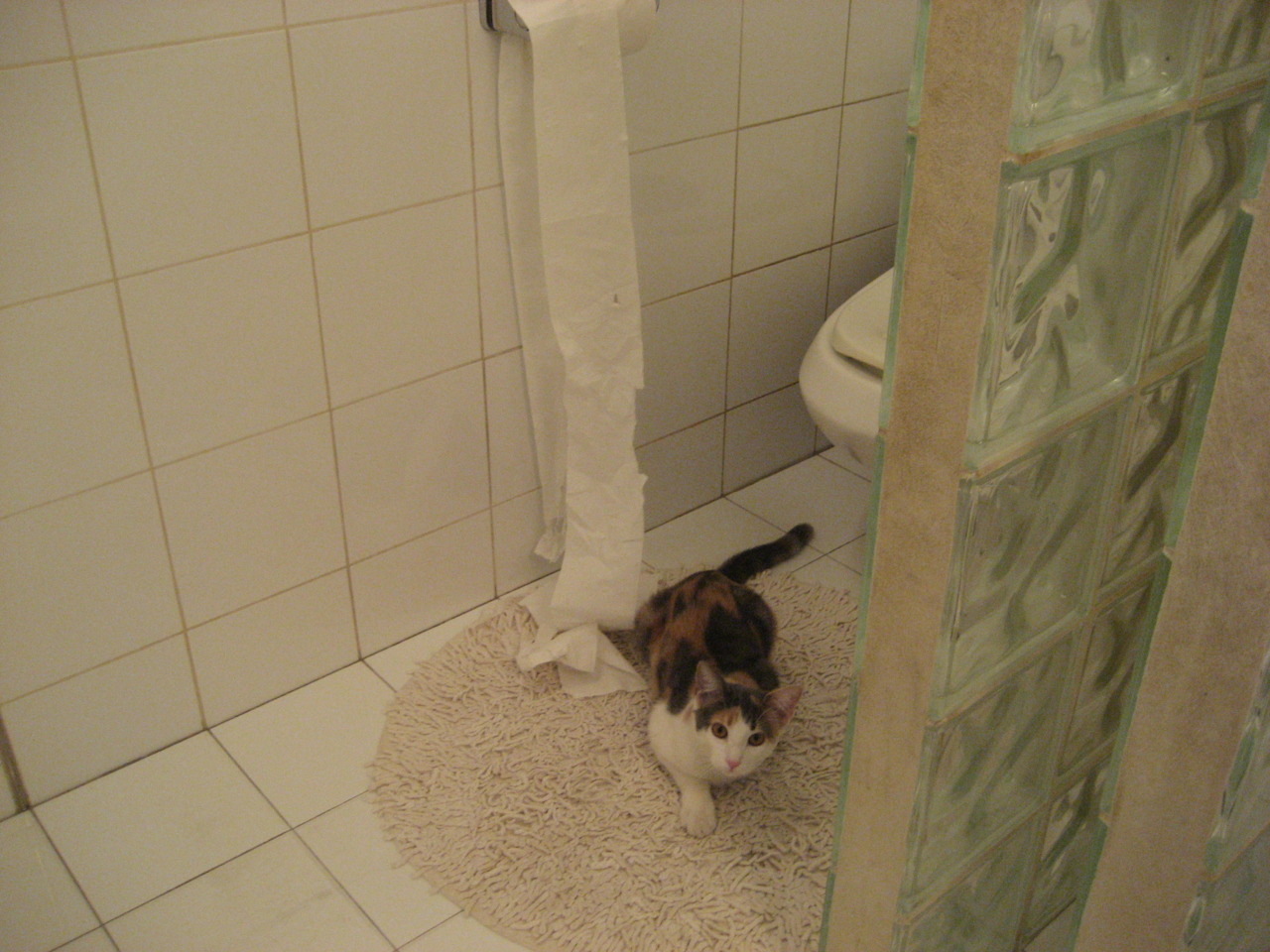 刀锋般的冷静，迪马利亚与莱比锡红牛诠释关键战的决胜艺术