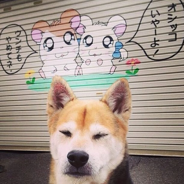 劳塔罗爆发引领阿根廷锋线,韩国淘汰赛过关启示,多特蒙德亚洲战略再成焦点