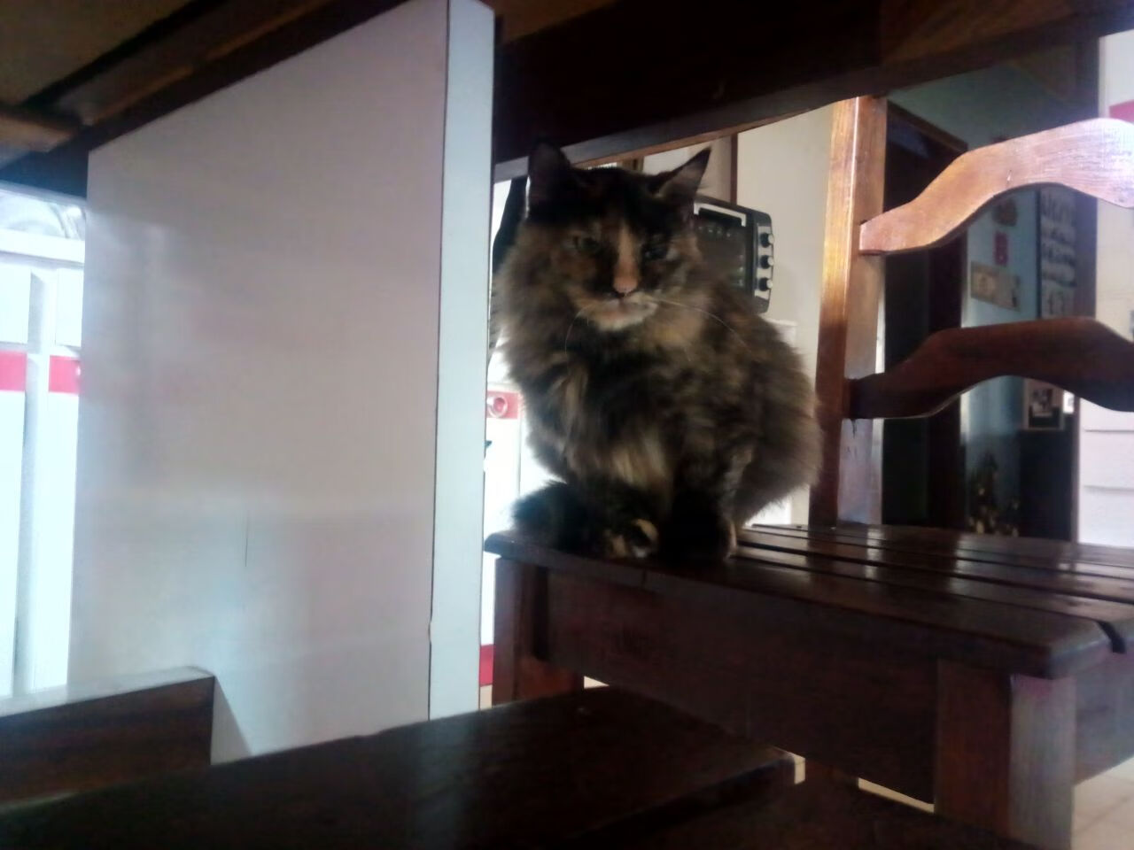 西甲国家德比之夜，贝林厄姆用粉碎与重构定义新时代