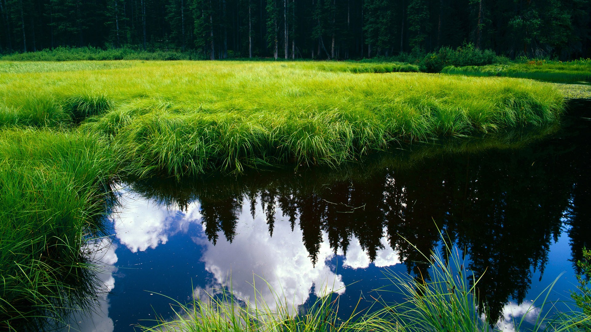 跨界梦幻对决,杰伦·格林狂飙47分,新疆飞虎轻取奥兰多魔术