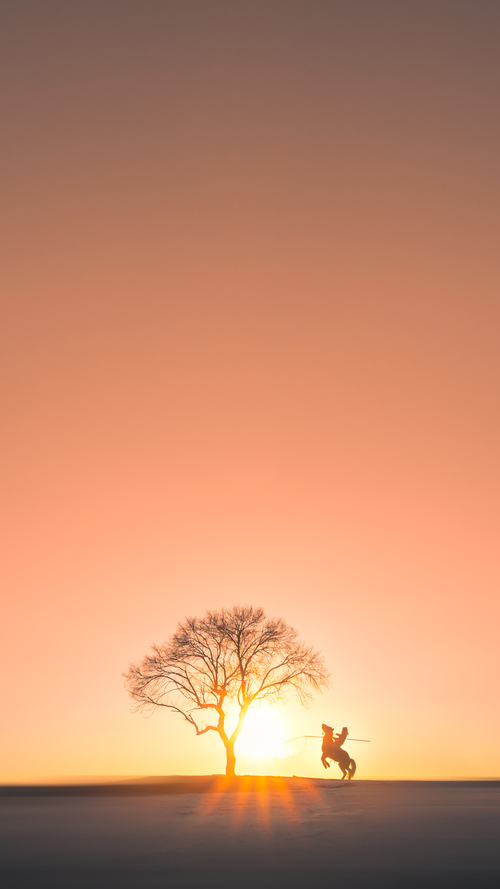 绿茵场的迁徙，当奥斯梅恩的爆发成为澳大利亚带走牙买加的隐喻