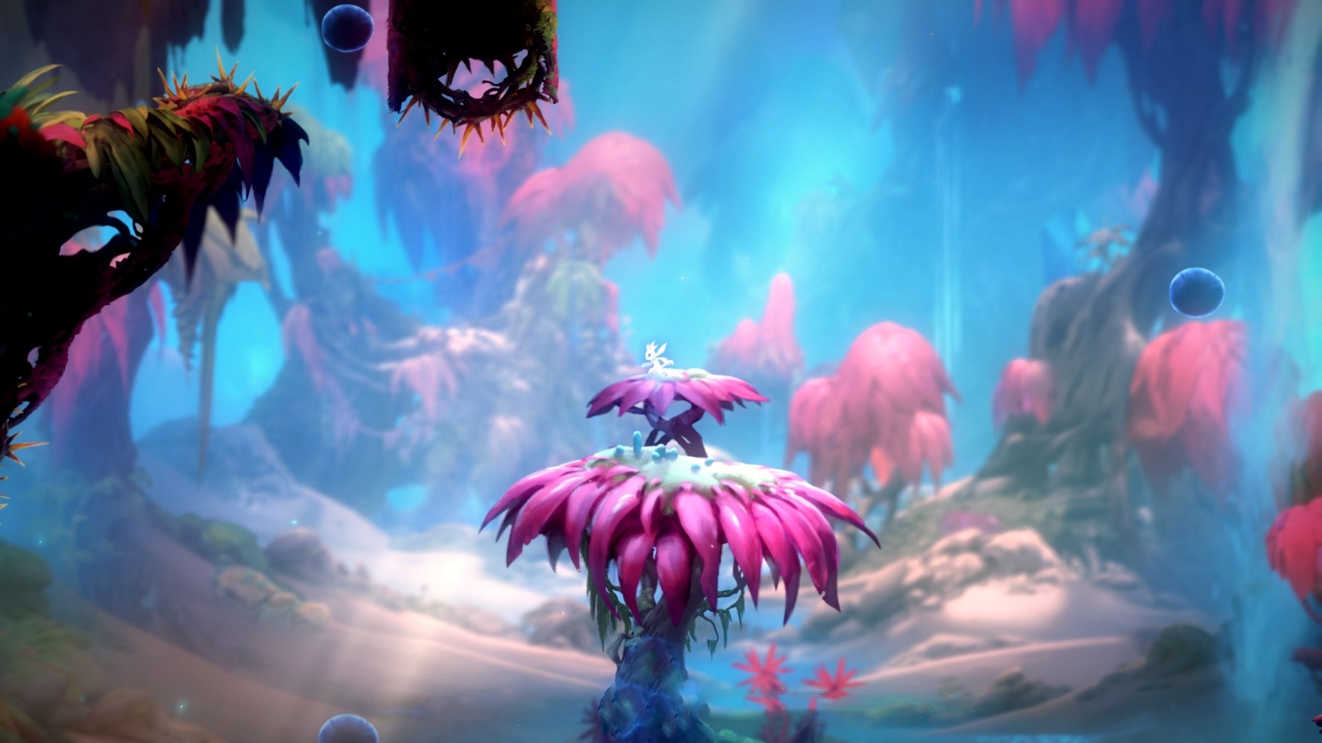 开云体育入口-李刚仁状态火热，奥地利对阵哥伦比亚折射亚洲足球崛起