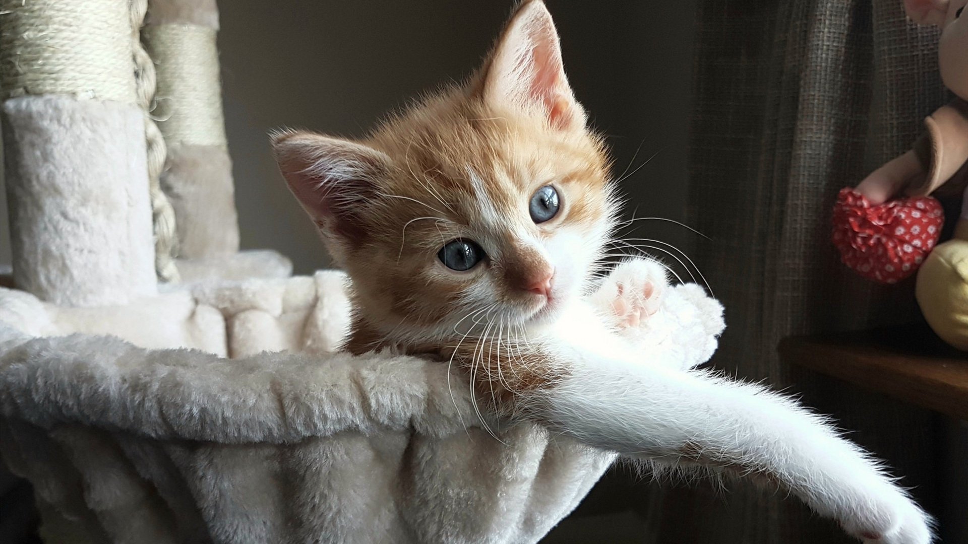 楚阿梅尼响箭穿云，塞内加尔压哨射落波兰