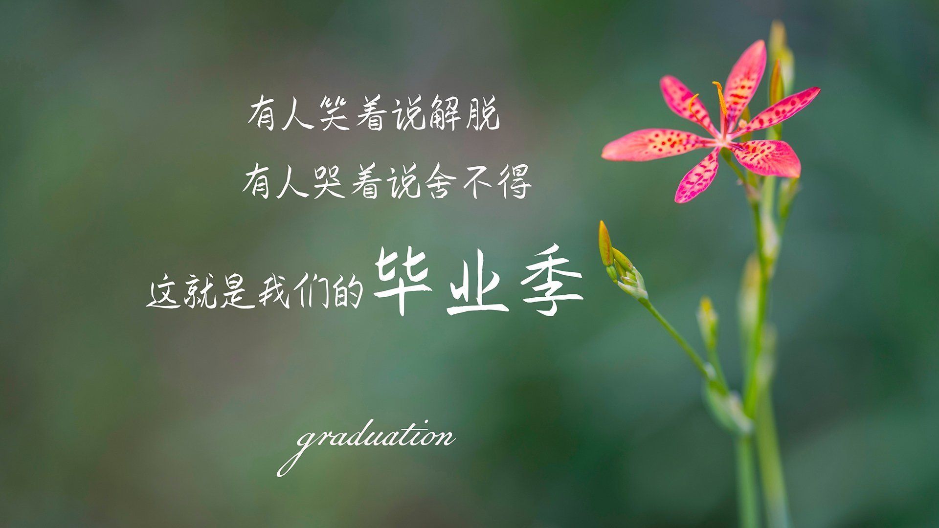 跨越时空的共鸣，从CBA绝杀到奥运决赛，那些大场面先生的共通基因