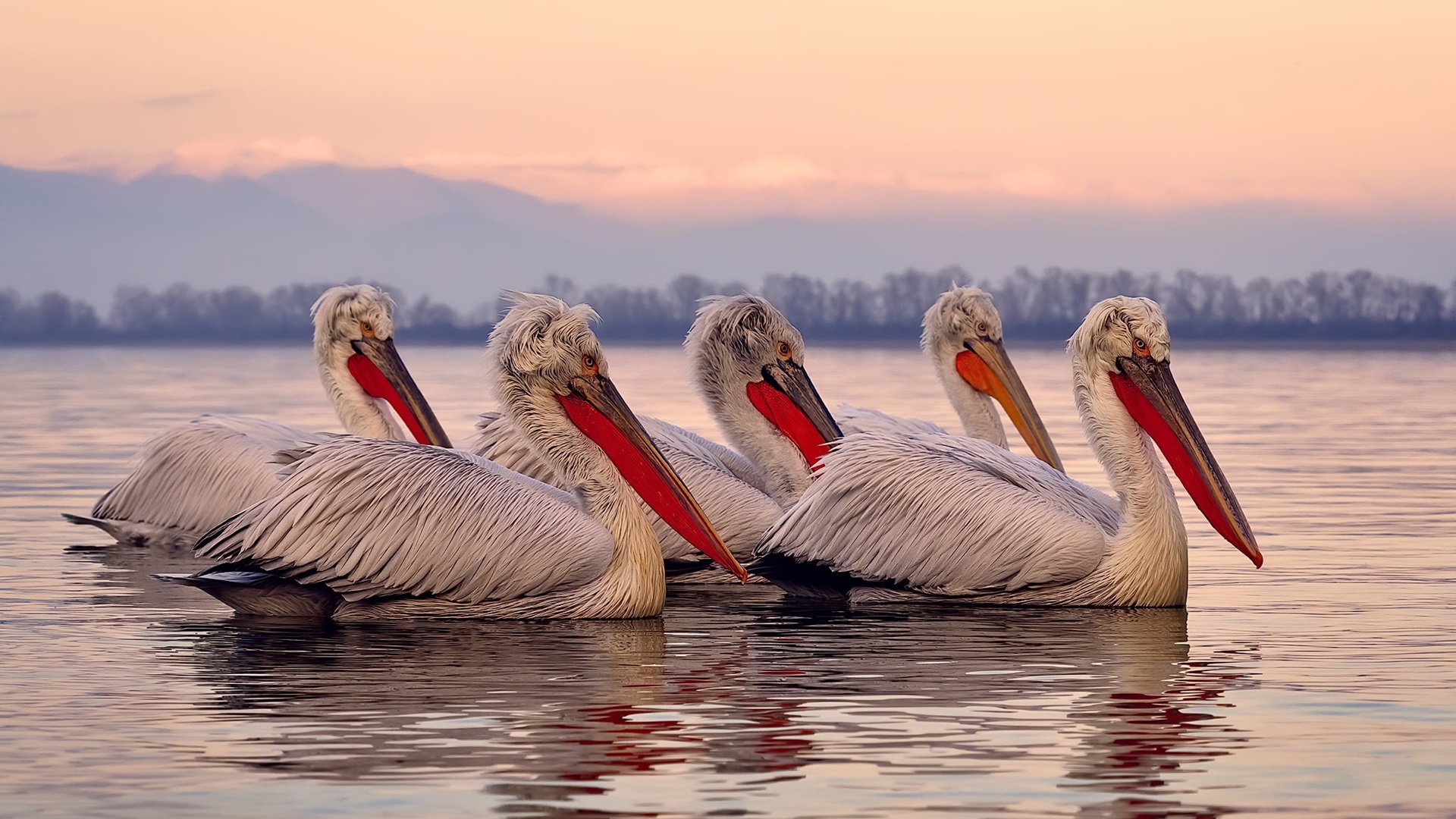 奥亚尔萨瓦尔星光点亮安达卢西亚之夜，贝蒂斯铁腕强压哥斯达黎加风暴