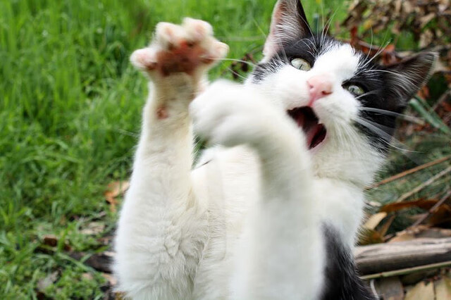 逆鳞与深渊,杜兰特关键战的新生,一次撕开心理茧房的绝地突围