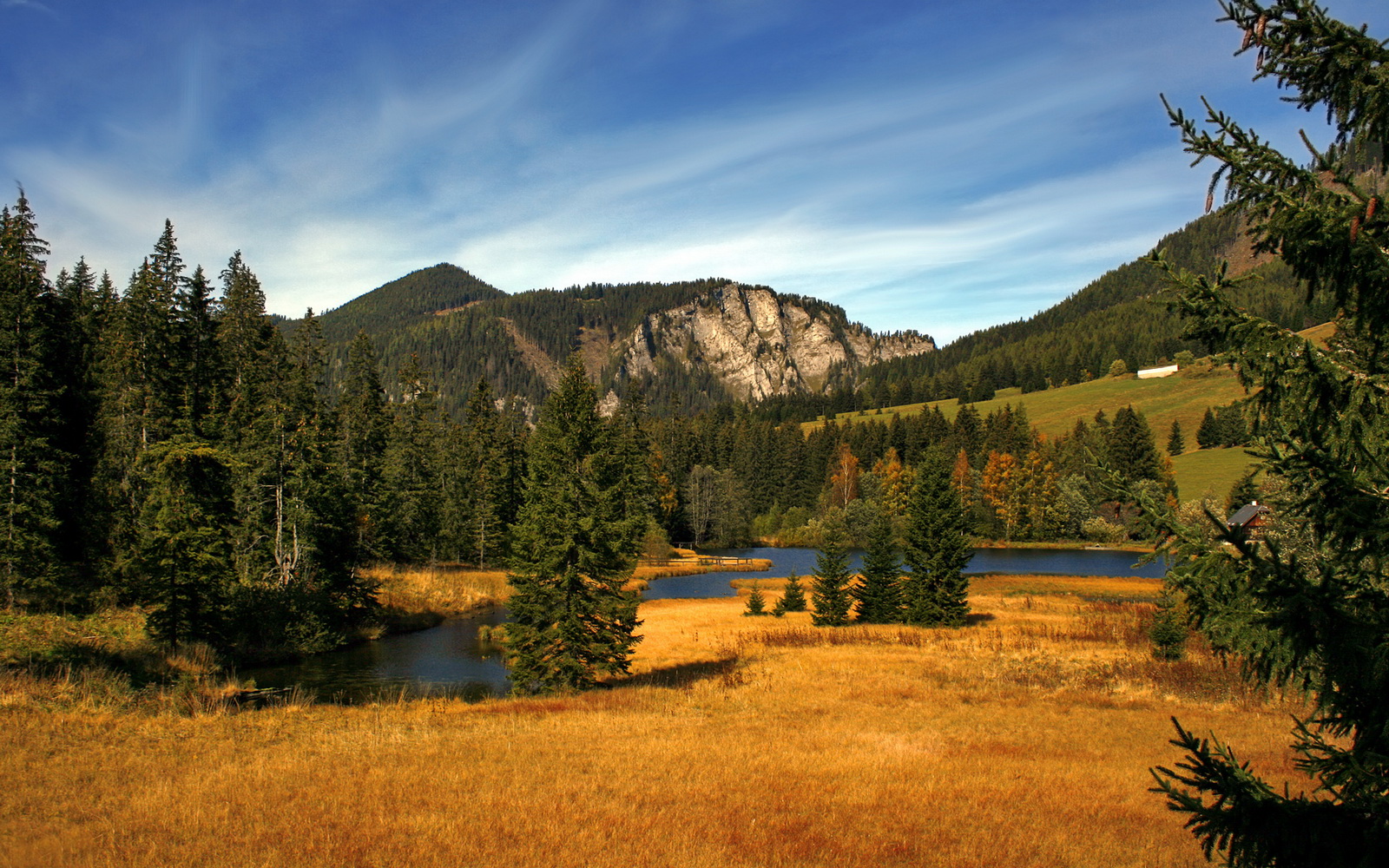 若日尼奥爆发之夜,奥地利淘汰国际米兰,论偶然与秩序的绿茵悖论