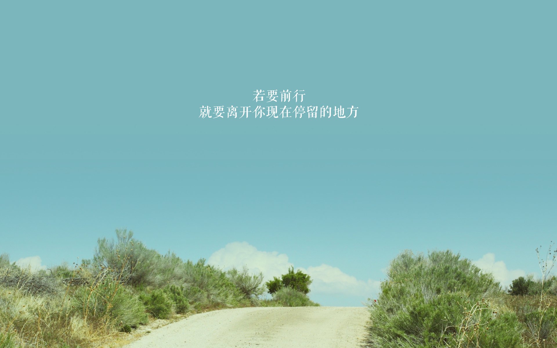 极速对决与团队胜利,F1街道赛焦点战与篮网完胜老鹰的竞技交响