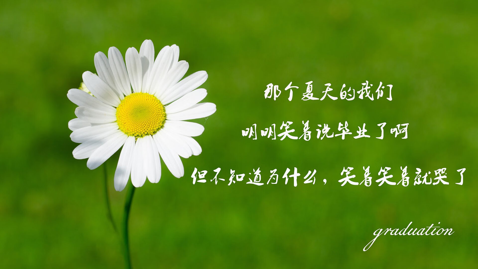 以下是为你原创的文章