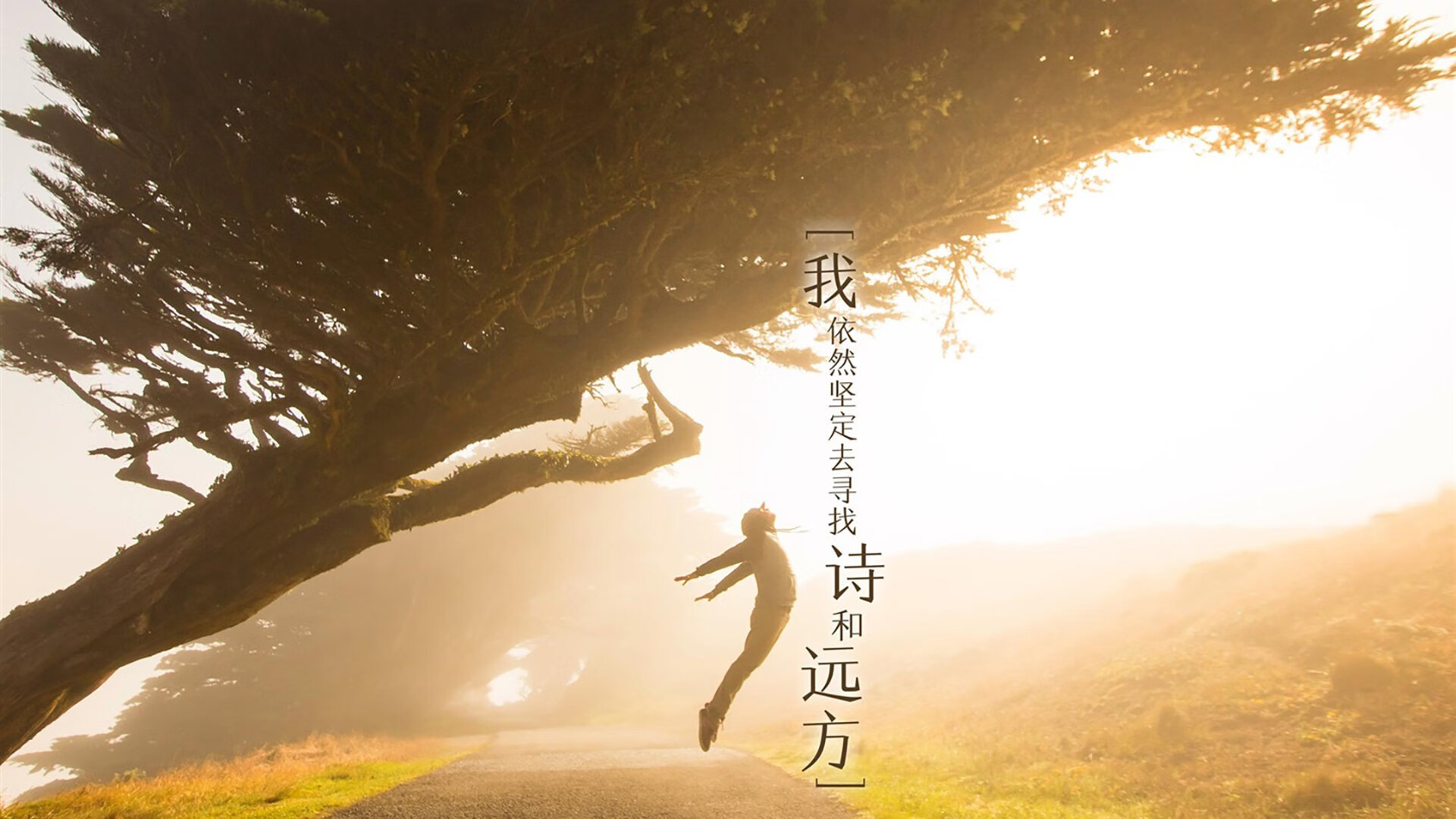 安第斯山脉的复仇，秘鲁铁骑踏碎葡萄牙黄金一代，贝林厄姆孤星闪耀难救主